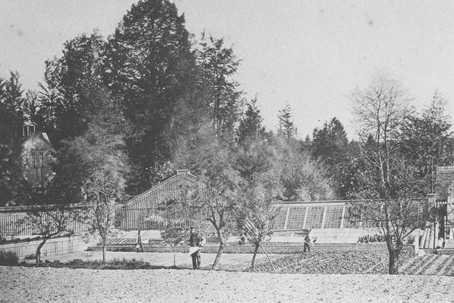Orangerie en moestuin 1880-1900