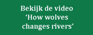 video how wolves changes rivers