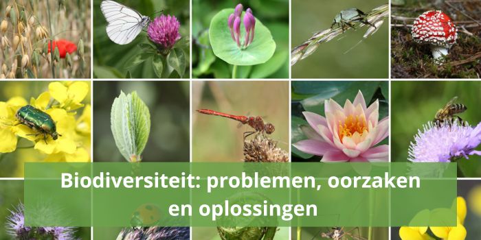 Biodiversiteit, problemen, oorzaken en oplossingen