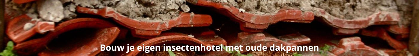 Bouw je eigen insectenhotel met oude dakpannen