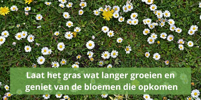 Laat het gras wat langer groeien