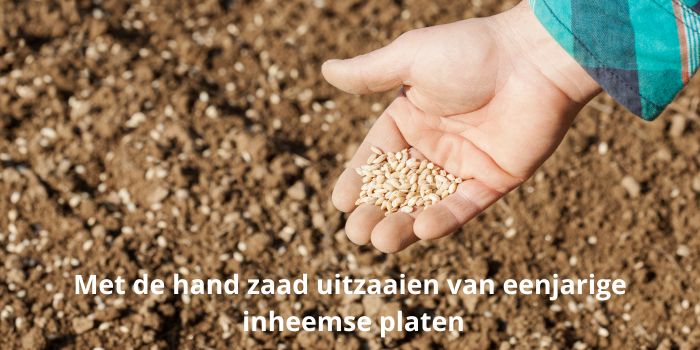 Met de hand zaad uitzaaien van eenjarige inheemse planten