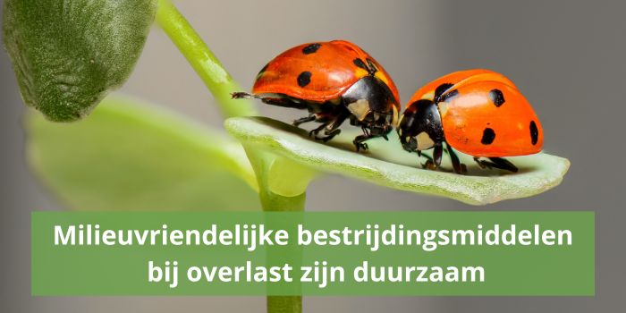 Milieuvriendelijke bestrijdingsmiddelen