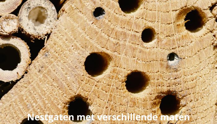 nestgaten met verschillende maten