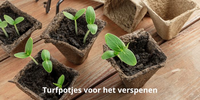 Turfpotjes voor verspenen