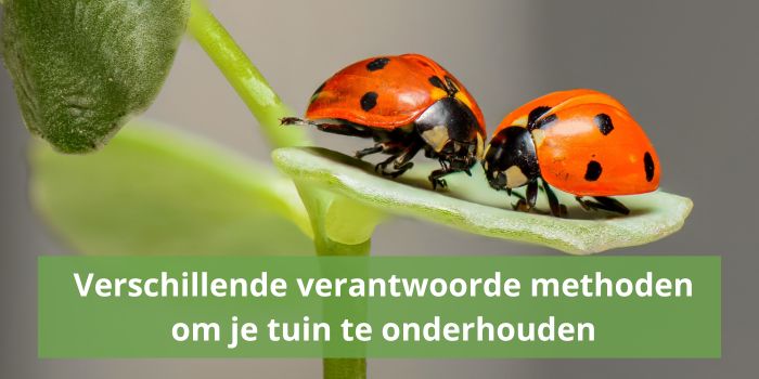 Verschillende verantwoorde methoden om je tuin te onderhouden