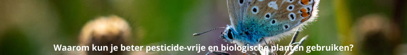 Waarom kun je beter pesticide-vrije en biologische planten gebruiken