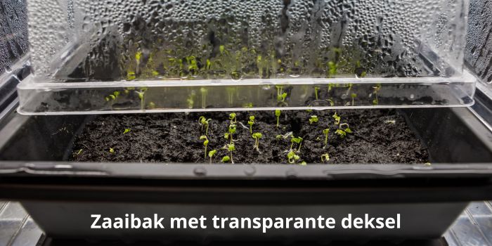 Zaaibakje met transparante deksel