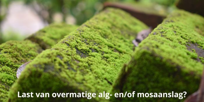 last van overmatige alg- en of mosaanslag