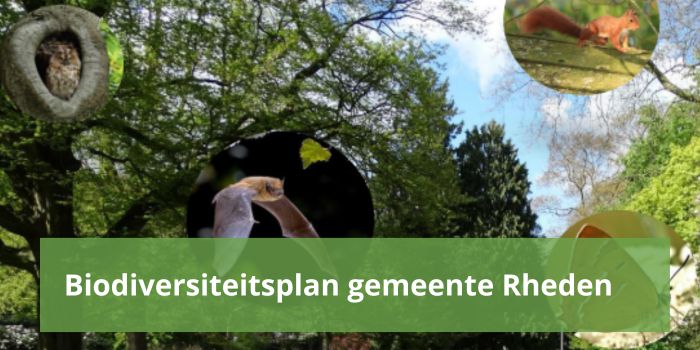 biodiversiteitsplan gemeente rheden