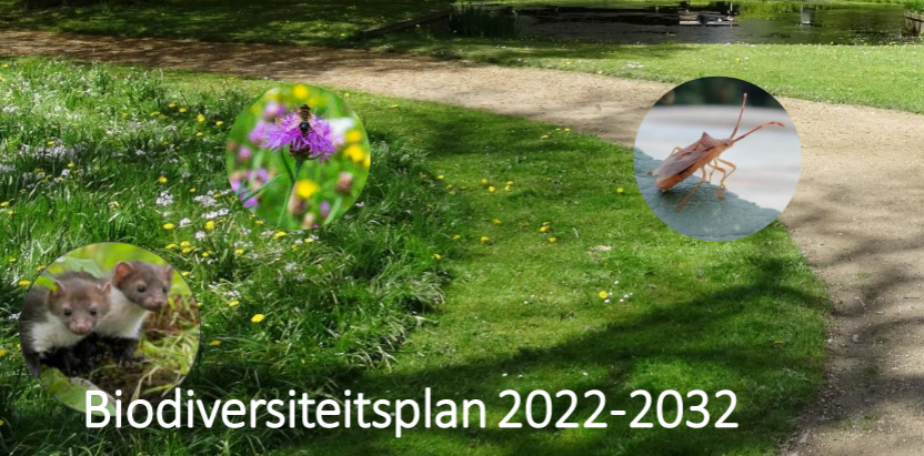 biodiversiteitsplan gemeente rheden